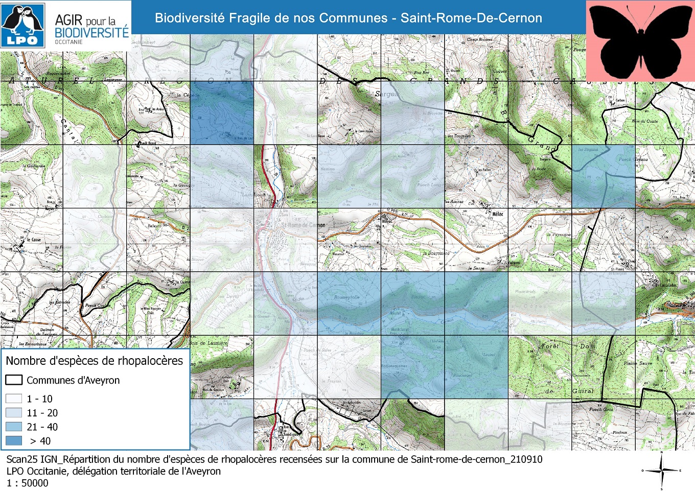Carte de connaissances des rhopalocères sur la commune au début du projet